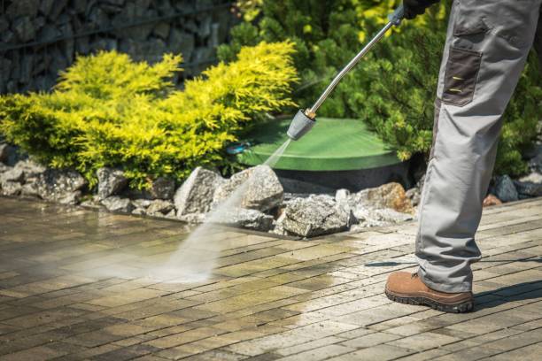 Best Boat and Dock Cleaning  in Harrison, NY