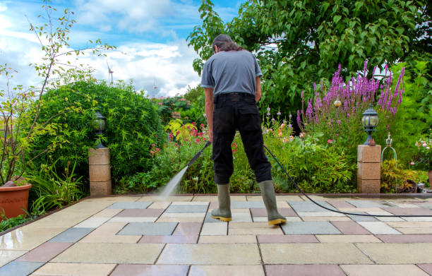 Best Spring Cleaning  in Harrison, NY