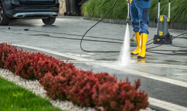 Best Soft Washing  in Harrison, NY